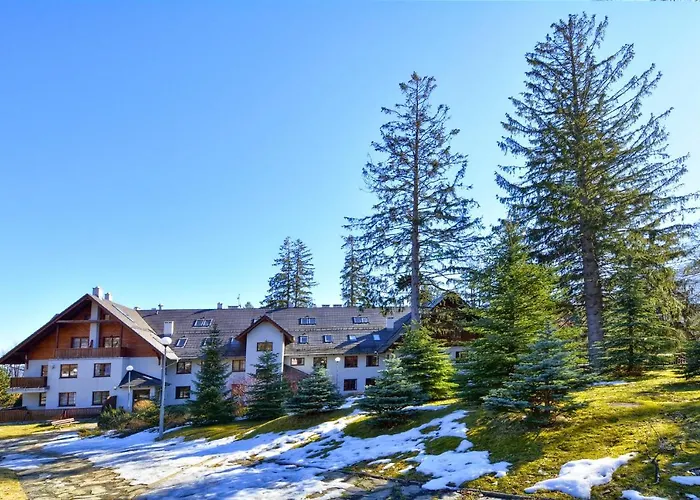 Polana-karpacz * カルパッチ